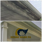 Revitalize Your Home Today